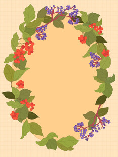 卡通风秋季花卉浆果果实落叶插画