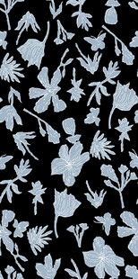 黑白花卉图案纹理背景