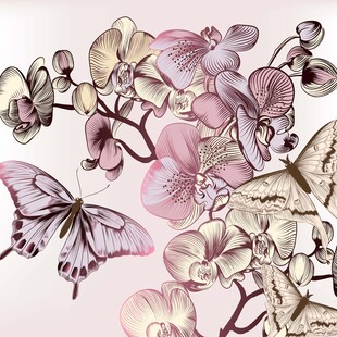 蝴蝶兰花梦幻插画