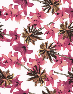 粉色花卉图案背景纹理