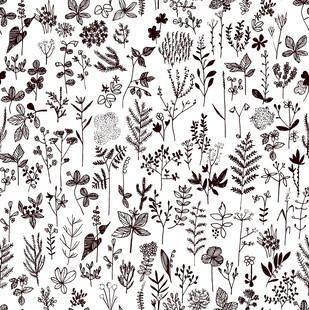 黑白植物花卉无缝图案
