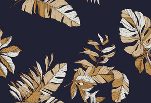 深色背景热带植物图案