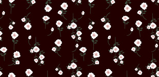 黑色背景上的白色小花图案