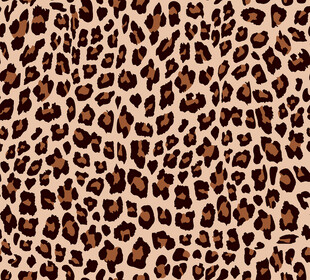 豹纹图案纹理背景
