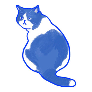 蓝白猫咪插画