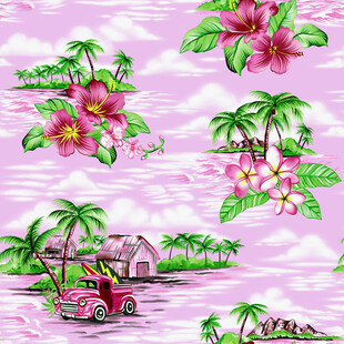 粉色海岛花卉图案背景小汽车