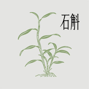石斛矢量素材