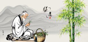 张仲景采药中医文化