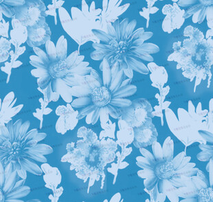 蓝底花卉图案纹理