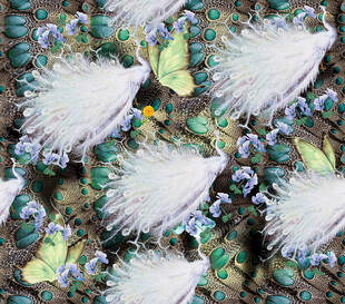 孔雀羽毛与蝴蝶装饰图案