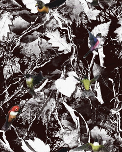 黑白背景彩色装饰艺术图案