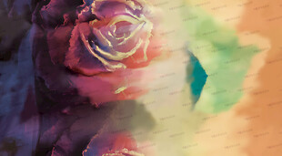 梦幻色彩的抽象玫瑰花