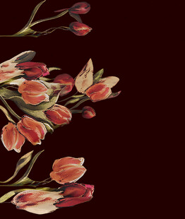 红色花卉图案典雅设计感