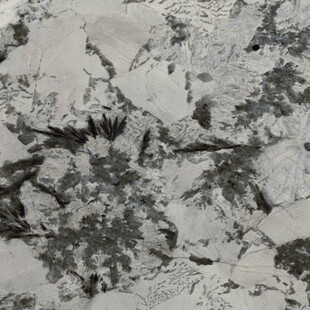 新品 简奢豪华石材 高档大图 