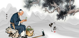 中医文化中医药