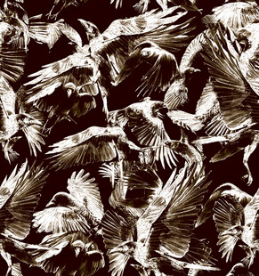 群鸟飞舞抽象图案