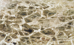 人气 简奢高档纹理 高清大图 