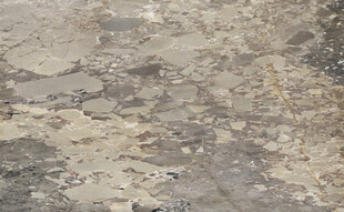 地板 轻奢高端纹理 高清大图 