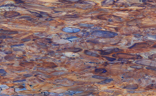 地板 奢雅清晰石材 高清大图 