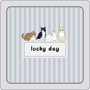 幸运日的可爱猫咪们