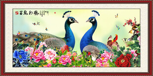 国画孔雀