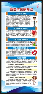 国际罕见病日展架