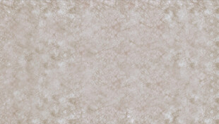 杜邦纸纹理贴图