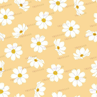 小雏菊图案背景纹理