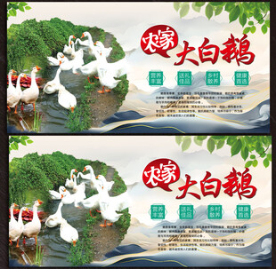 鹅展板