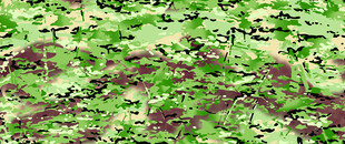 绿色迷彩纹理图案