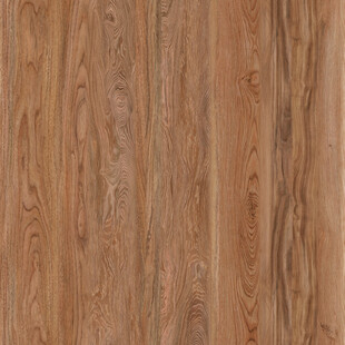 人气 实木现代纹理 高清新图 