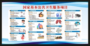 国家基本公共卫生服务项目