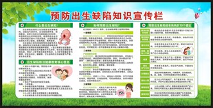 预防出生缺陷日宣传栏