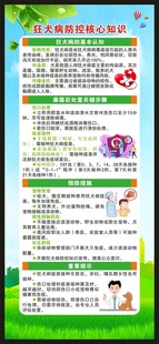 世界狂犬病日展架