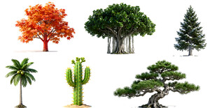 多样树木绿植素材集合