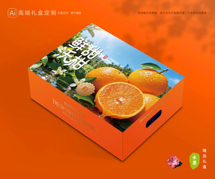 沃柑包装 蜜桔礼盒