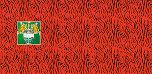 红辣椒堆中的品牌标识网纱网布图