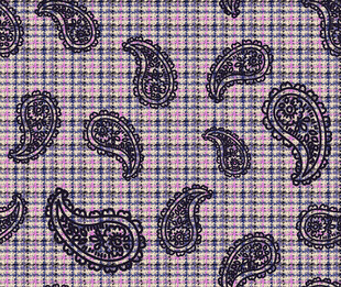 佩斯利花纹图案设计