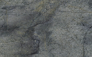 最新 高雅奢华石纹 高清大图 