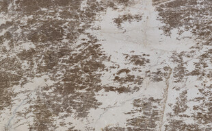  大气 新品最新纹理 高清大图