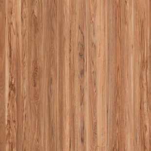 新传 高档豪华木纹 高清大图 