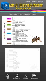 昆虫记思维导图田间地头的蟋蟀
