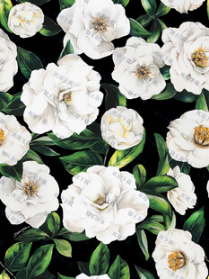白色花卉图案 清新雅致