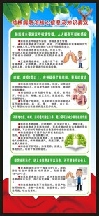 结核病防治核心信息展架