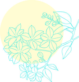 手绘花卉线条图案 矢量图