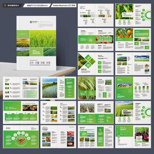 农产品宣传册