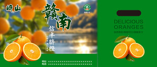 新鲜蜜橘包装展示