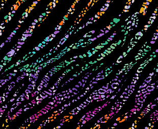 炫彩线条抽象背景图案