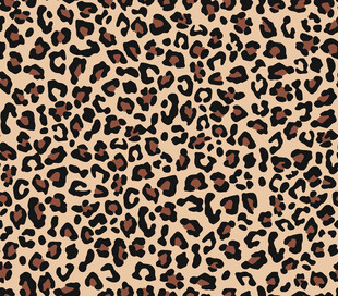 豹纹图案纹理背景图