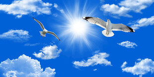 蓝天白云天花软膜